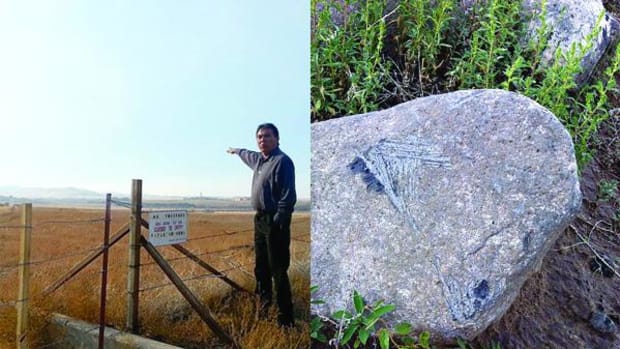 Arden Kucate, head tribal councilman of Zuni Pueblo, describes the desecration he saw during his tour of Amity Pueblo (left). The image on the right shows abrasions on a large stone from metal machinery.