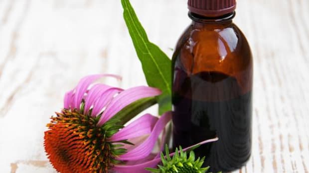 American Indians had already been using echinacea for centuries when Europeans came on the scene.