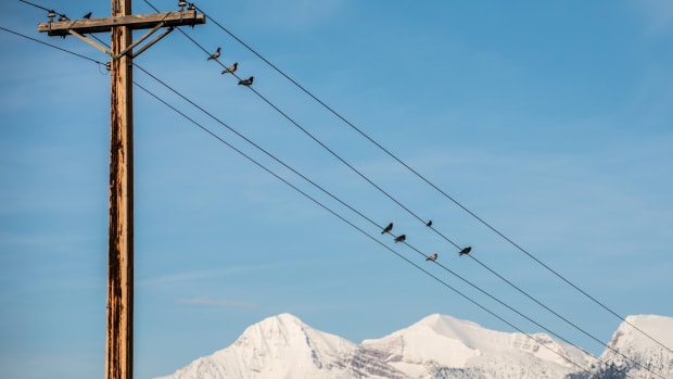 Birds perch on power lines stretching across the landscape on the Flathead Indian Reservation near the town of St. Ignatius. Montana's famous wide-open spaces and big swathes of rural land make connecting to the grid a challenge- In a recent assessment, BroadbandNow ranked Montana 50th for high-speed internet connectivity. Photo by Sara Diggins