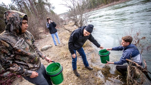 Buckets of fish are handed off to Conor Giorgi to release into the Spokane River in March, 2022. (Photo by August Frank/Lewiston Tribune)