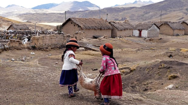 Girls carry a dying sheep in the Cconchaccota community of the Apurimac region in Peru, Saturday, Nov. 26, 2022 amid an ongoing drought. (AP Photo/Guadalupe Pardo)