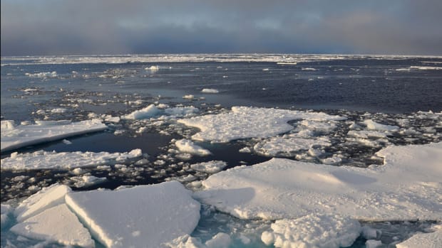 Arctic sea ice (Photo by Patrick Kelley, courtesy of Creative Commons)