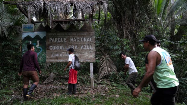 A group of men pass in front of a sign for the Cordillera Azul National Park in the Peru Amazon, Monday, Oct. 3, 2022. Residents in Kichwa Indigenous villages in Peru say they fell into poverty after the government turned their ancestral forest into a national park, restricted hunting and sold forest carbon credits to oil companies. (AP Photo/Martin Mejia)