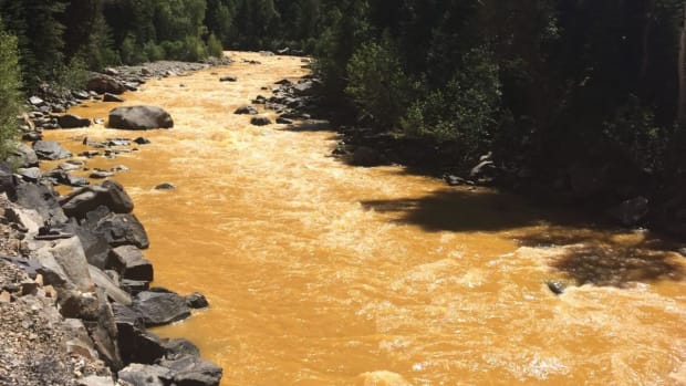 Pictured: The Animas River between Silverton and Durango in Colorado within 24 hours of the Gold King Mine waste water spill in 2015.