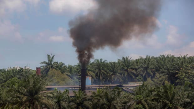 Smoke rises from a processing mill at a palm oil plantation in Sumatra, Indonesia, on Sept. 8, 2018. The punishing effects of palm oil on the environment have been decried for years. (AP Photo)