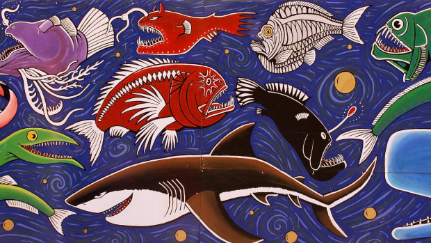 This large mural, "Deep Sea Food Chain," by Bruce Mahalski, was captured on display in Wellington, New Zealand. New Zealand celebrated the 30th anniversary in September 2022 of an historic settlement that opened up Maori fisheries to expansion. (Photo by Pieter Pieterse via Creative Commons)