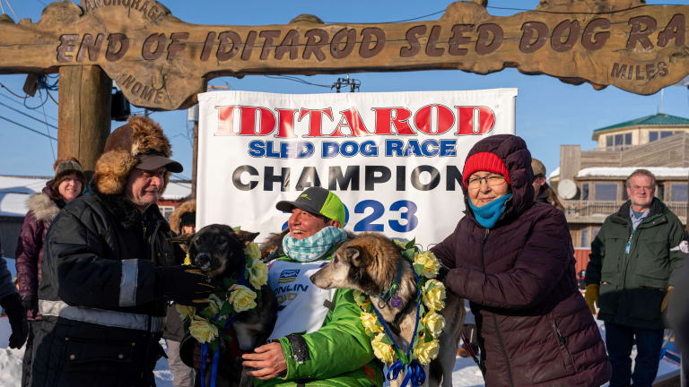 2024 Iditarod will see many former champions ICT News