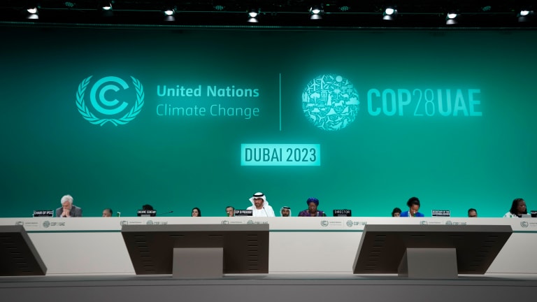 COP 28: United Nations Climate Change Conference