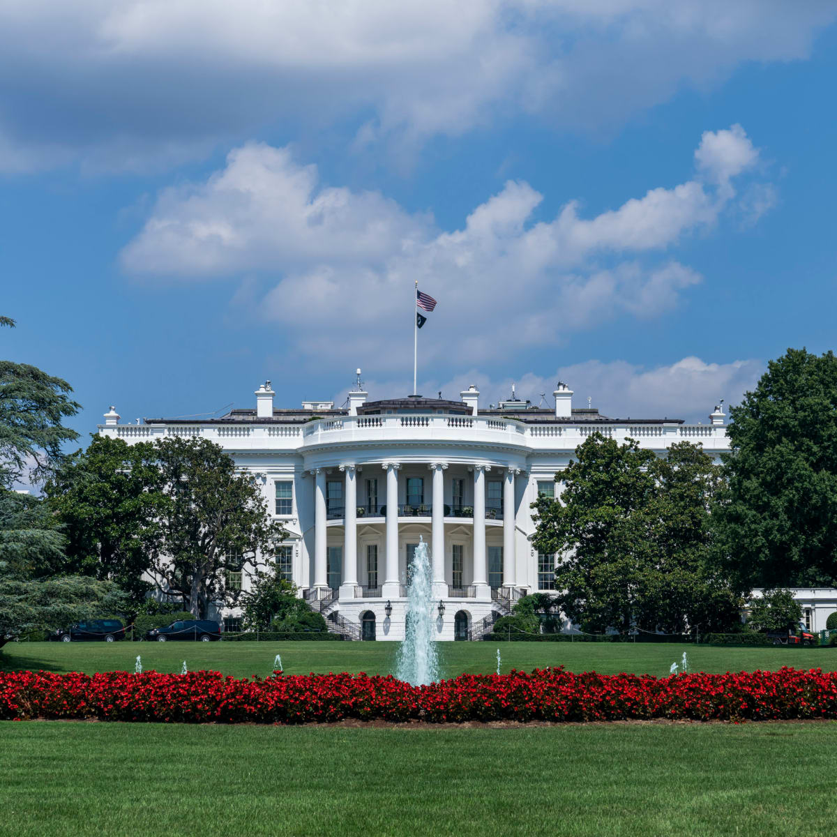 Who's running for president? See a rundown of the 2024 candidates