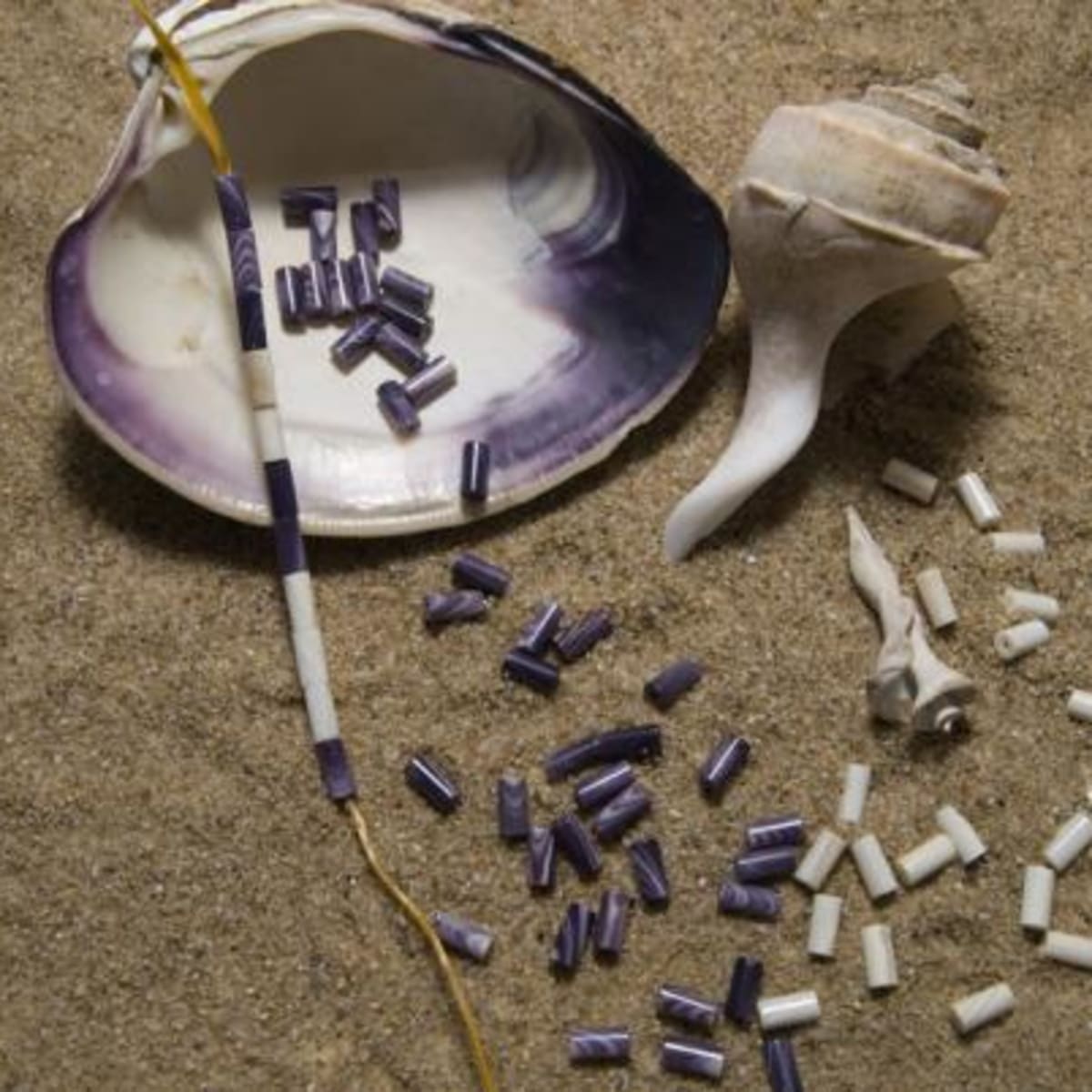 Wampum shell new arrivals