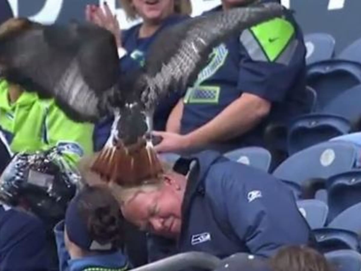 WATCH: Seattle Seahawks' Live Mascot Lands on Fan's Head During TNF