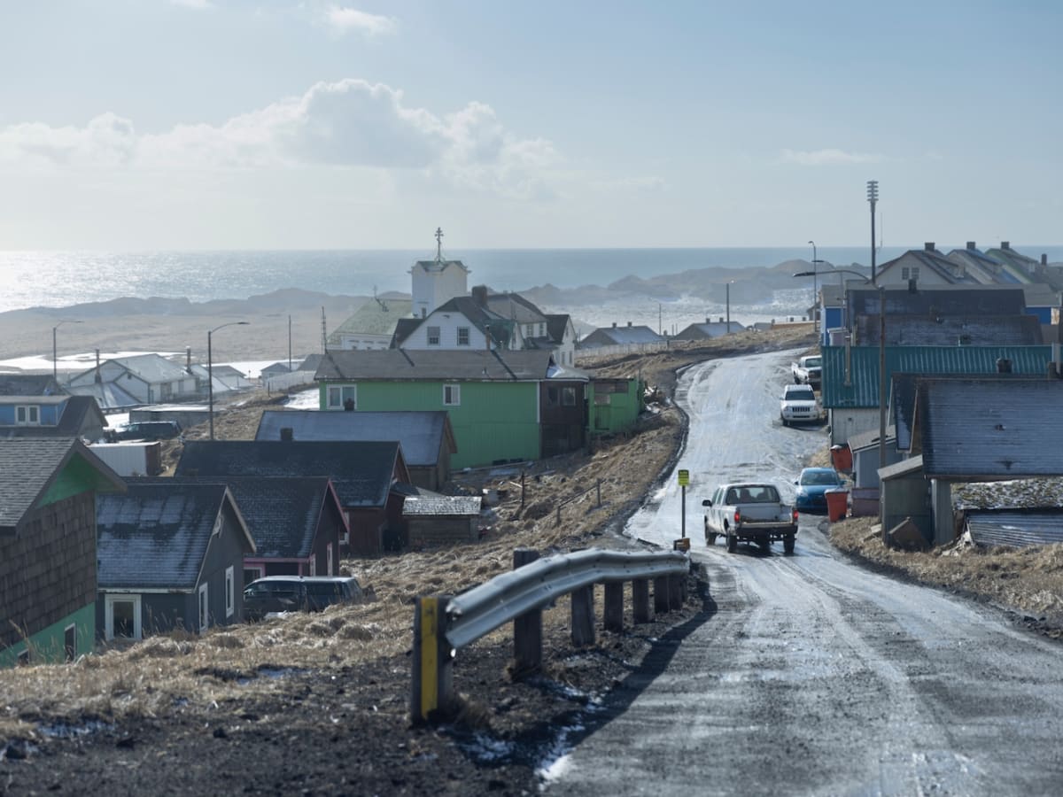 Alaska's Snow Crab Collapse Is Likely Tied to Climate Change