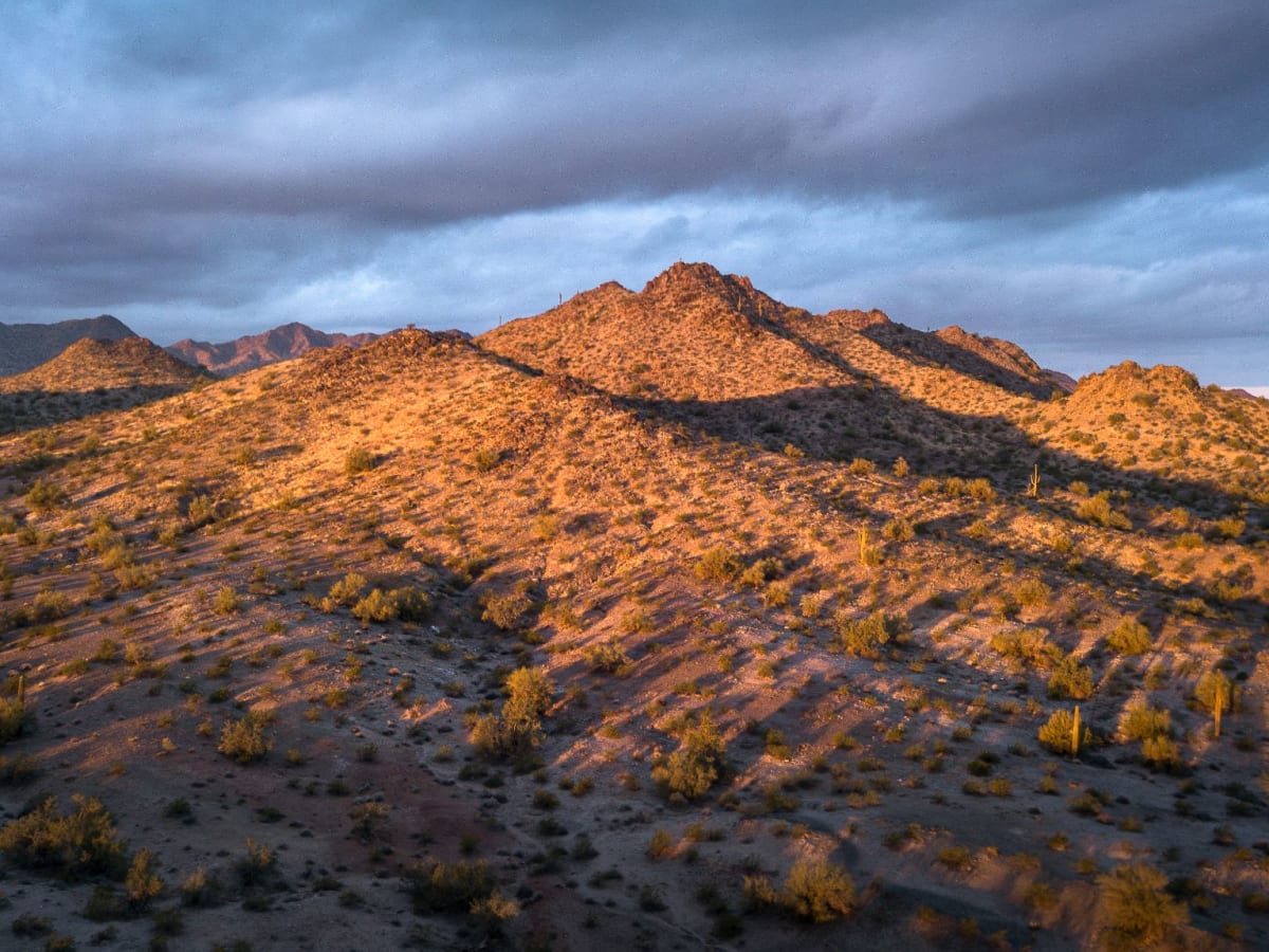 The Gila River - Gila Conservation Coalition