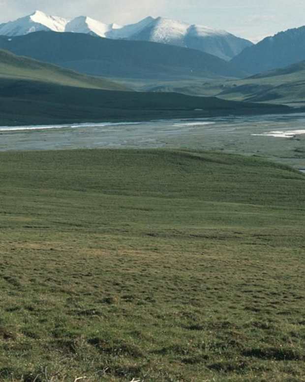 Arctic national wildlife refuge - Alaska - U.S. Fish and Wildlife Service, Public domain