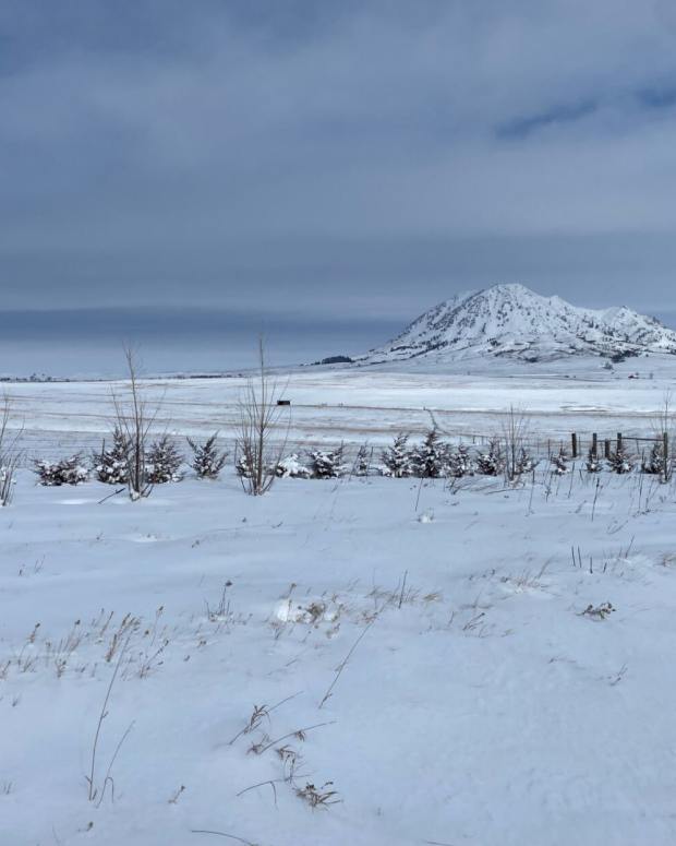 A photo of Bear Butte taken on the Cheyenne River Youth Project's newly purchased 40-acre plot in Meade County. (Courtesy of the Cheyenne River Youth Project)