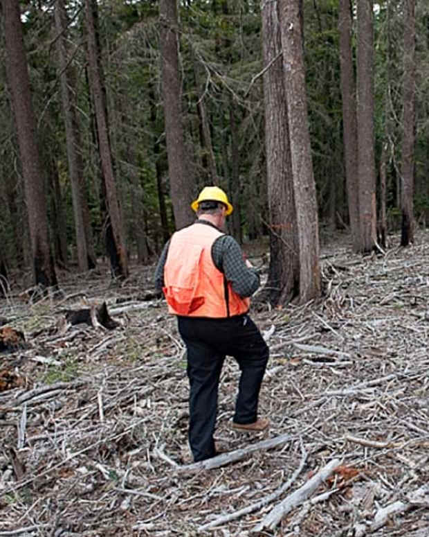 The Forest Service received funding through a stewardship contract to clear debris left over from a logging operation in Washington’s Gifford Pinchot National Forest. (Columbia Insight)