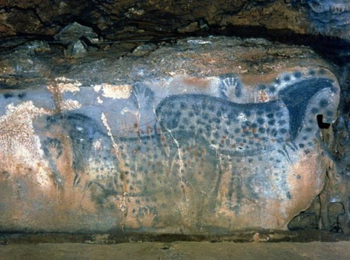 Cave Paintings of Leopard-Spotted Horses Were True-to-Life - ICT News