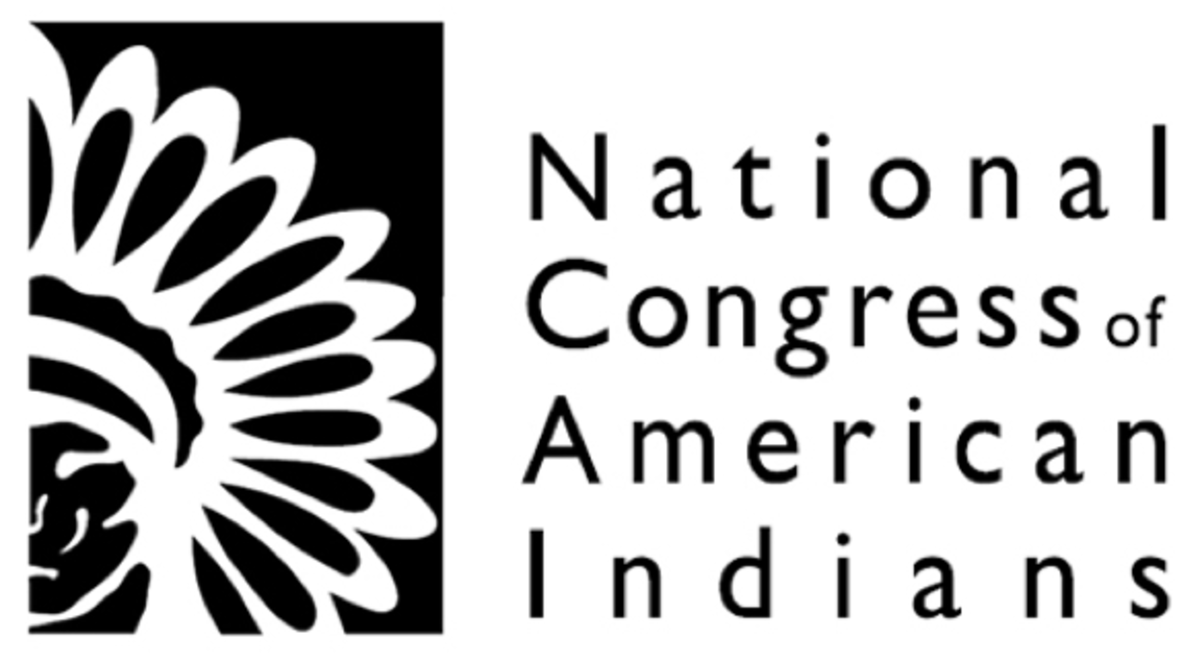 Native group's members reject bid to lessen state-recognized tribes' status  - Newsday