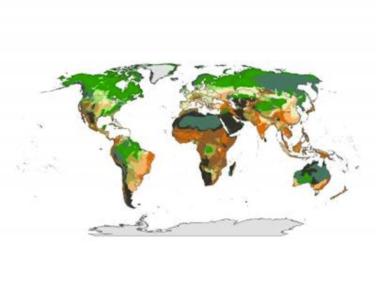 scorched-earth-policy-indian-country-among-climate-hot-spots-ict-news