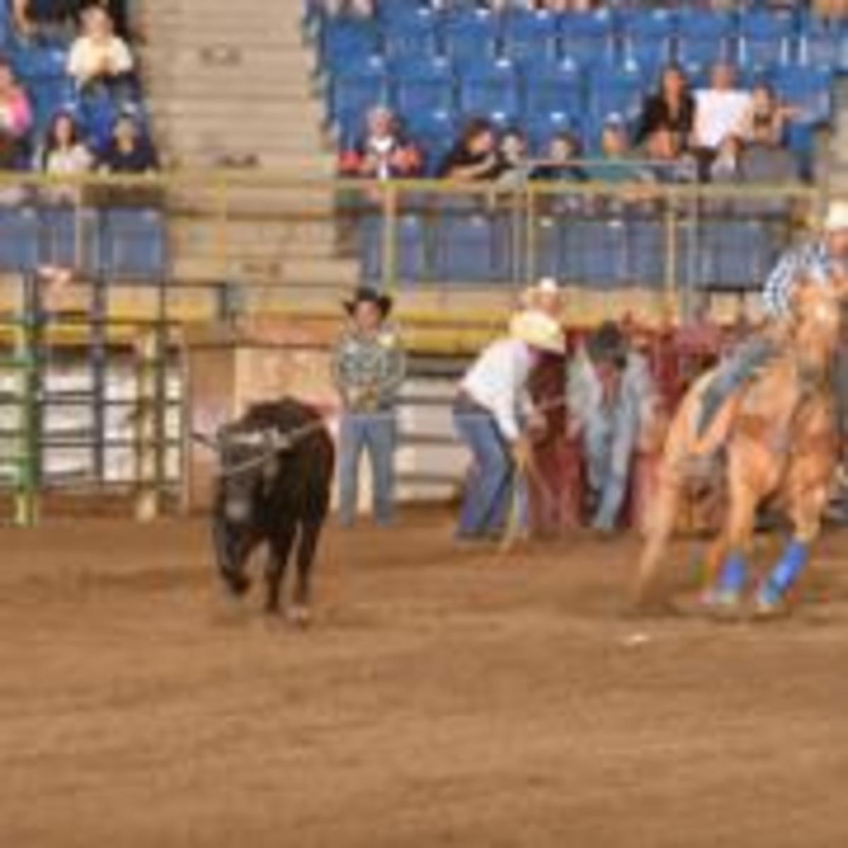 First Rule of Rodeo: Love the Bull... and the Horse - ICT News