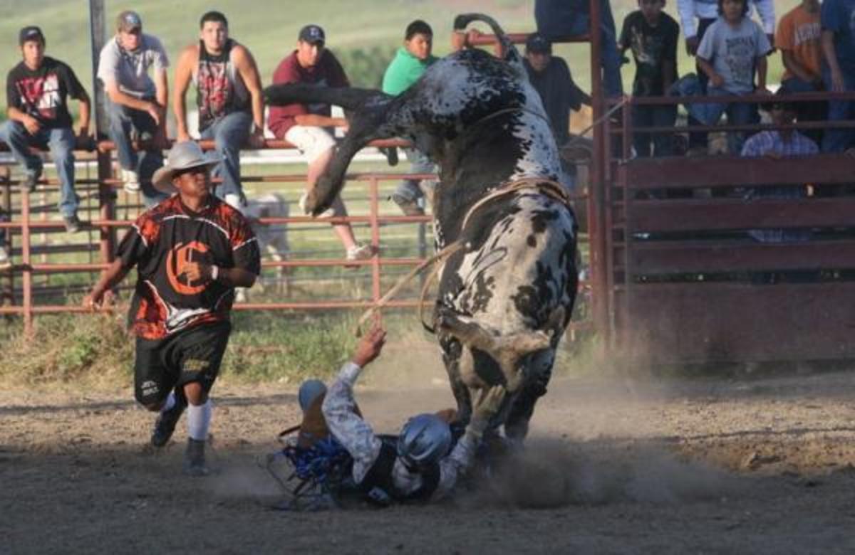 93rd Annual Crow Fair Celebration Under the Big Sky ICT News