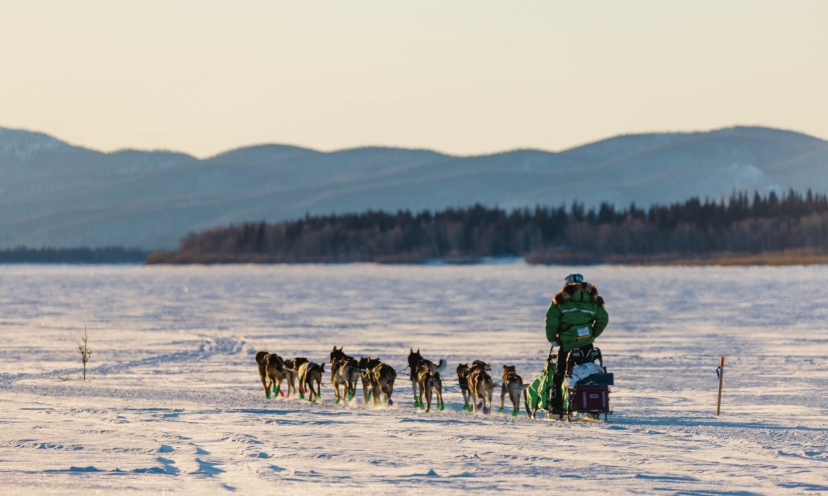 Alaska musher on brink of becoming Iditarod's best ever