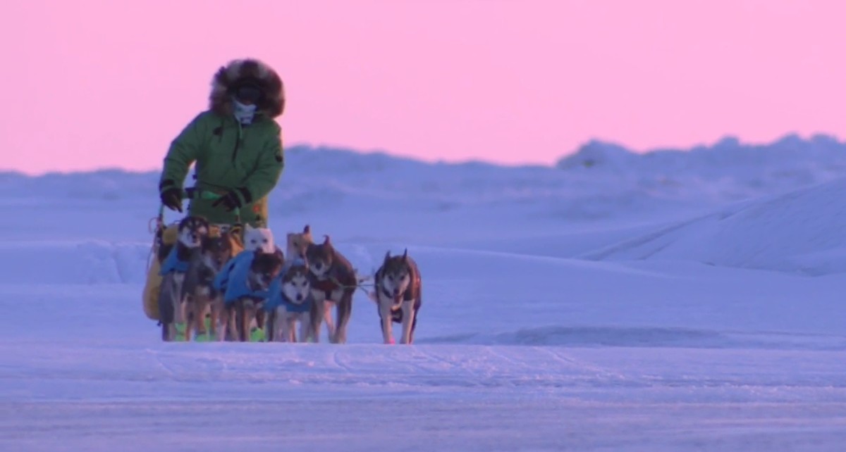 Inupiaq musher set to make history in Iditarod - ICT News
