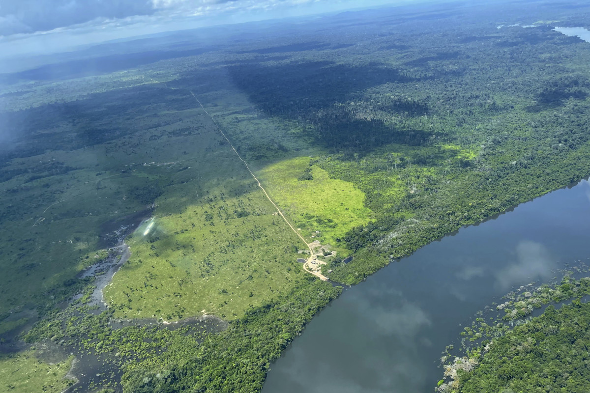 How an American meat broker is fueling Amazon deforestation - ICT News