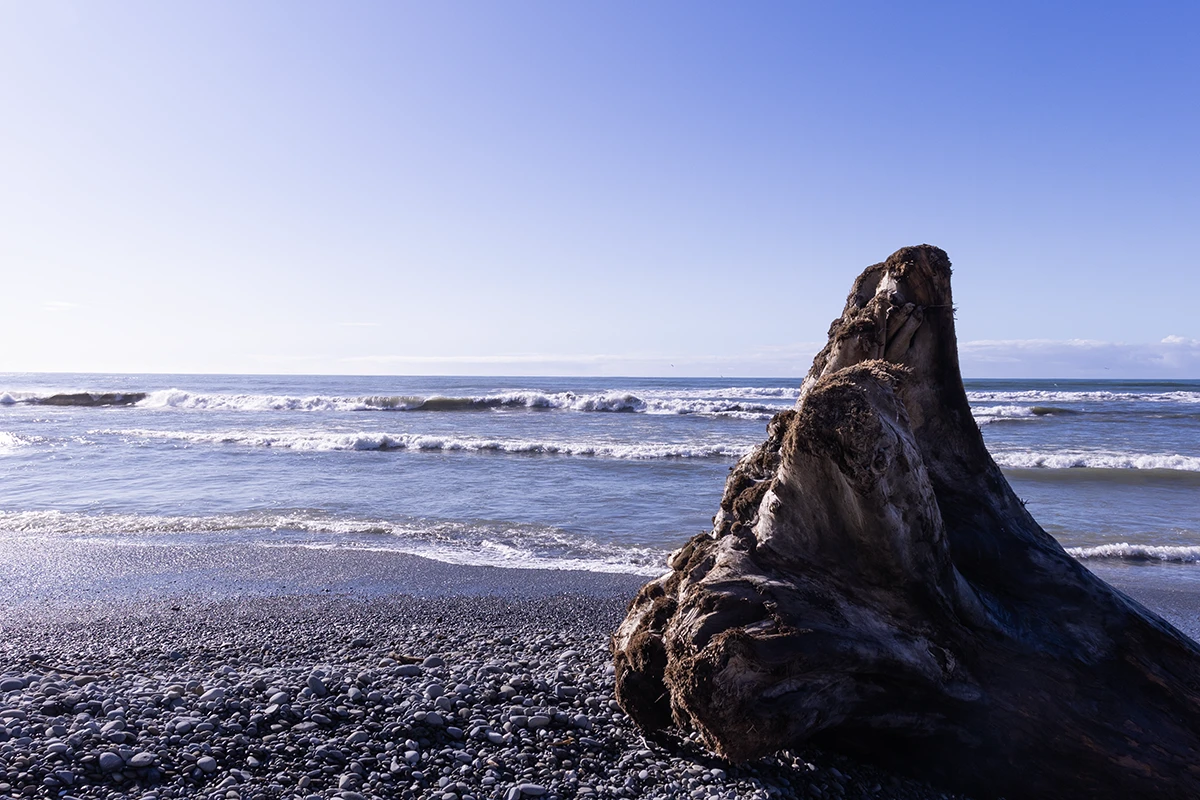 Quinault Indian Nation wellness courts replace punishment with ...