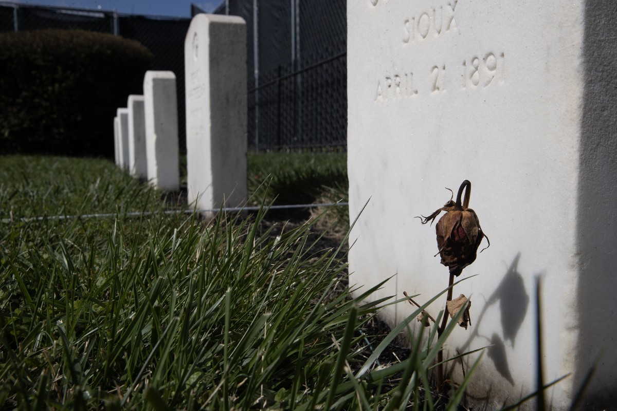 A weathered rose sits on the grave of James Cornman at the Carlisle Barracks Post Cemetery in Pennsylvania on Sept. 5, 2024. James was one of three Oglala Sioux students who died while attending the Carlisle Indian Industrial School in the late 1800s and is among 11 Native youths disinterred from the Carlisle cemetery starting Sept. 6, 2024. They are being repatriated back to their homelands. Along with James, the remains of Oglala students Samuel Flying Horse and Fannie Charging Shield have been returned to Pine Ridge for reburial. (Photo by Charles Fox, special to ICT)