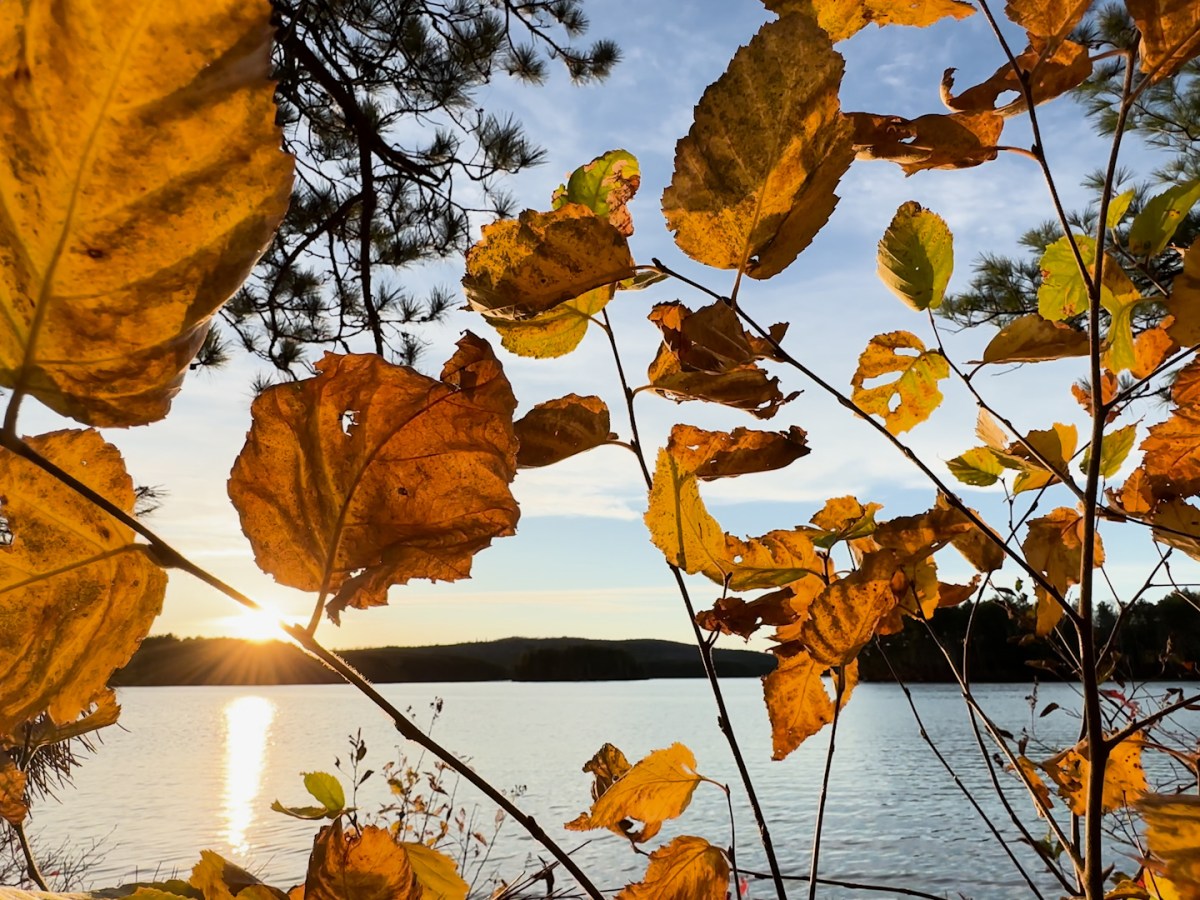 Recent land returns give Wabanaki Nations more authority over conservation, ancestral territory