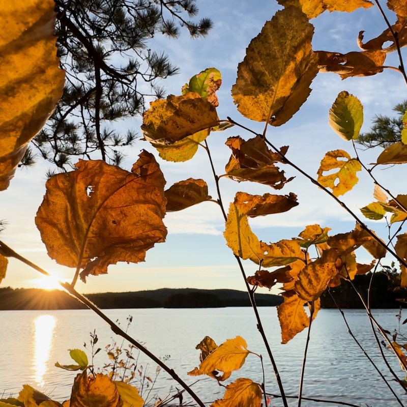 Recent land returns give Wabanaki Nations more authority over conservation, ancestral territory