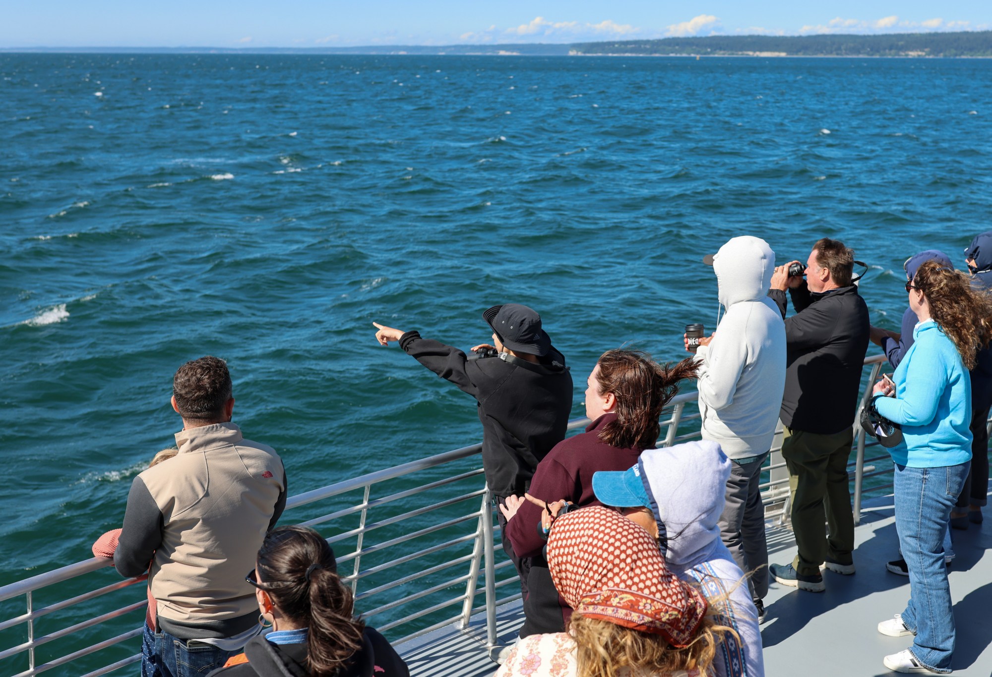 Indigenous-led whale watching tour now offered in Seattle - ICT