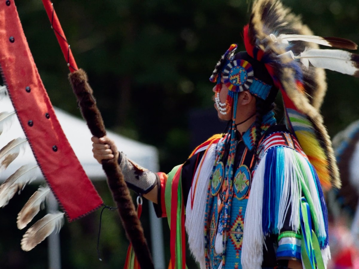 INDIGENOUS A&E:  People who powwow, sibling art, mountain lion immortalized