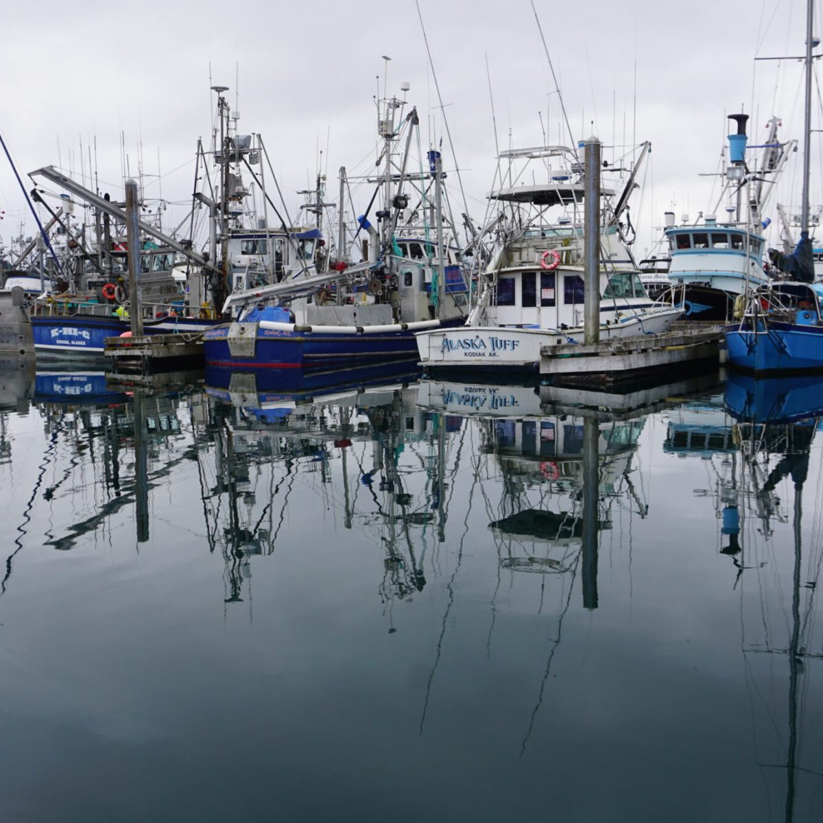 Pitched battle for Alaska’s Senate seat is enveloped in a fight over fish