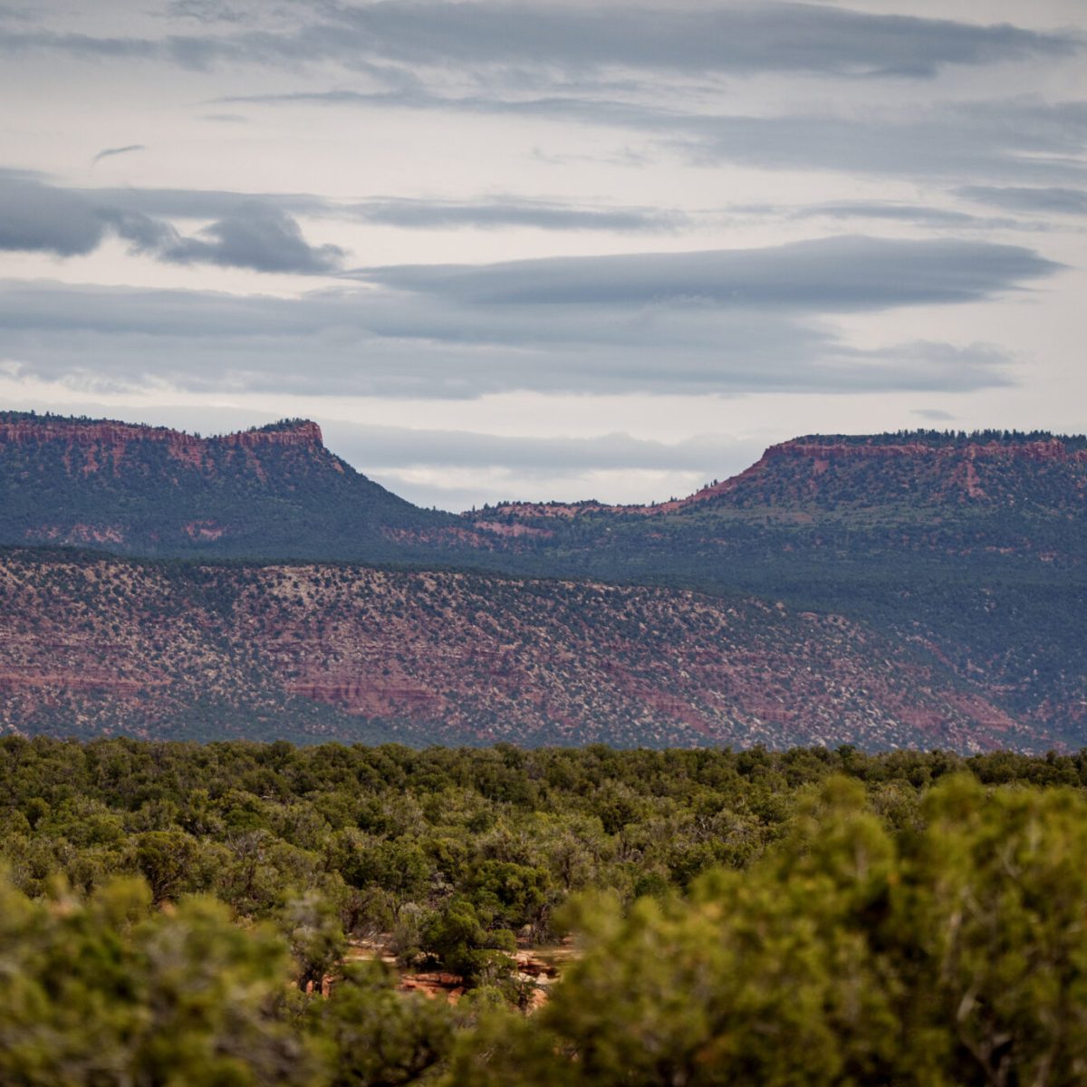 Judge reopens lawsuits challenging cuts of Bears Ears, Grand-Staircase