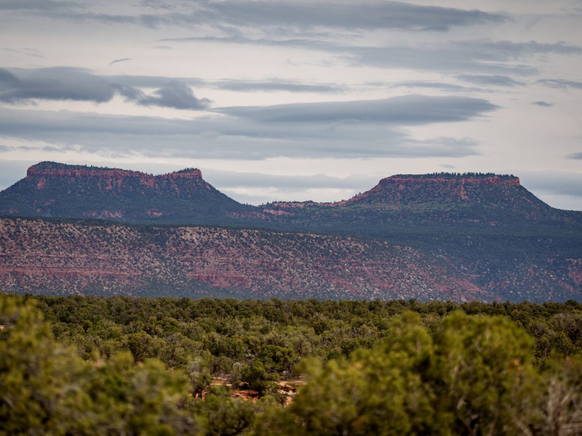 Judge reopens lawsuits challenging cuts of Bears Ears, Grand-Staircase