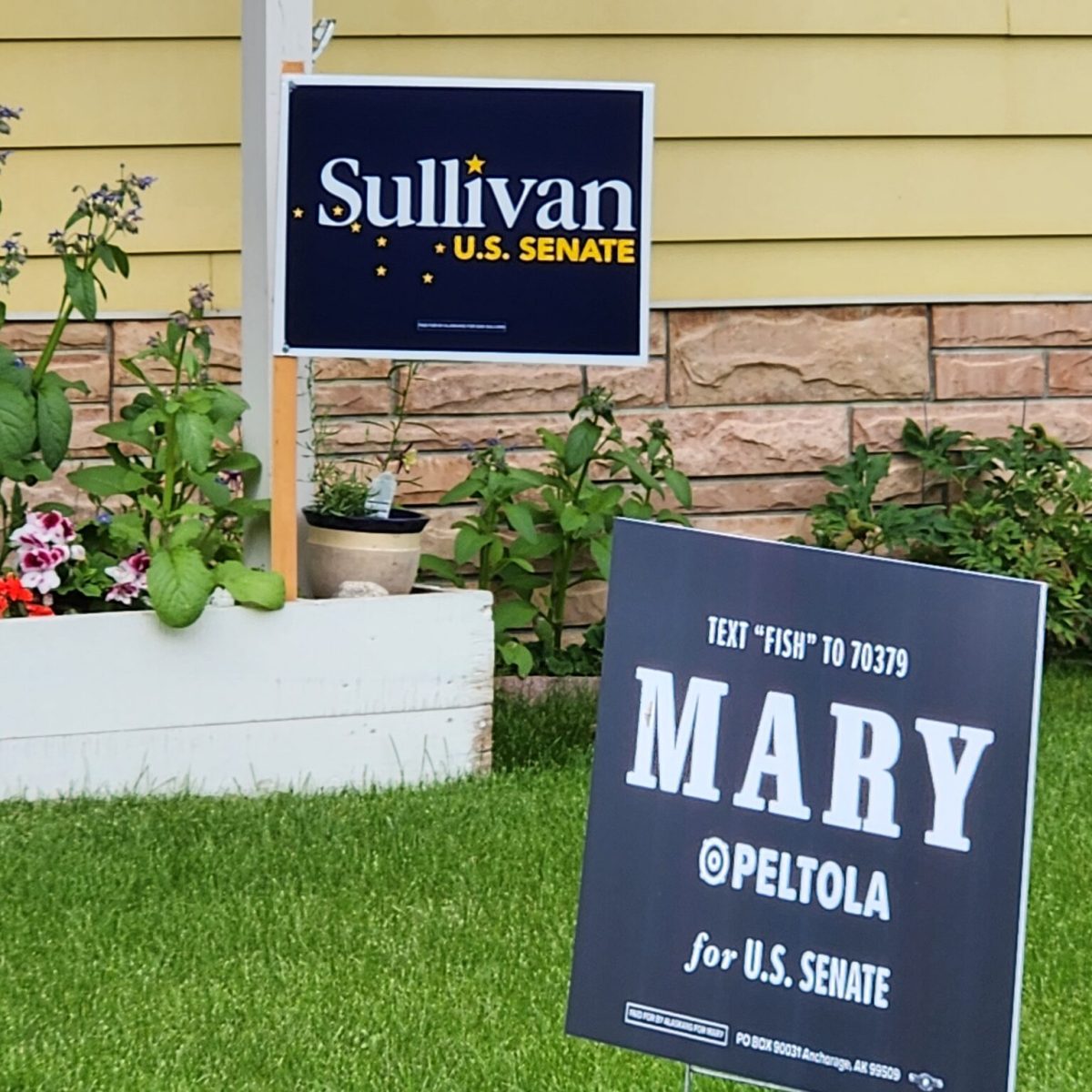 Alaska’s final U.S. Senate debate devolves into mudslinging between Peltola, Sullivan