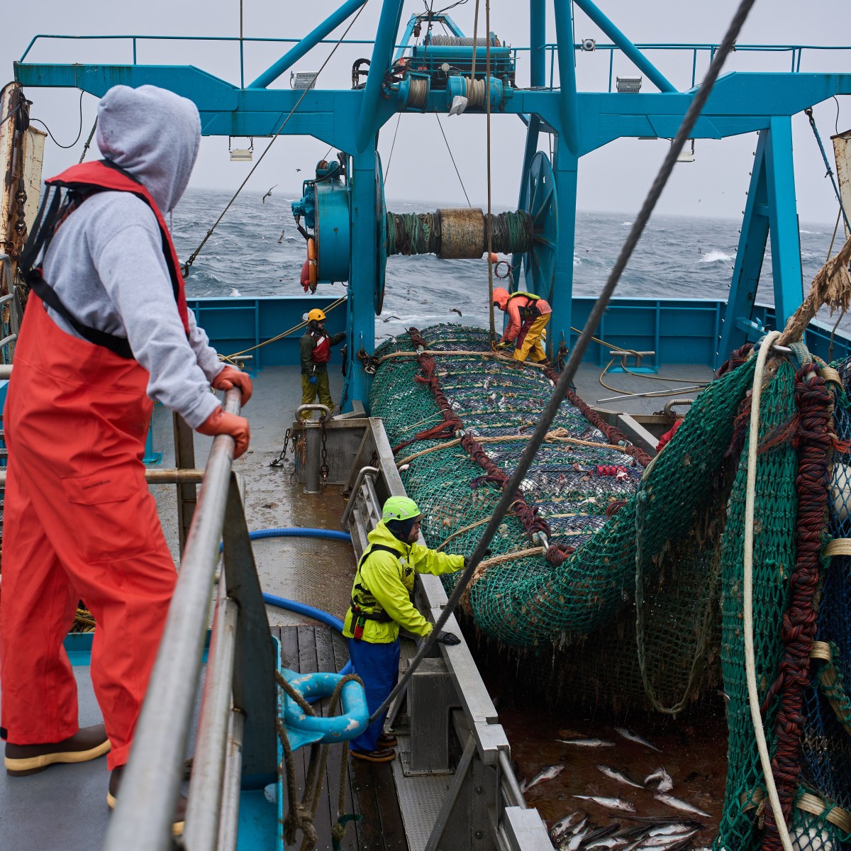 The fish behind America’s fish sticks is fueling a fight over trawling in Alaska