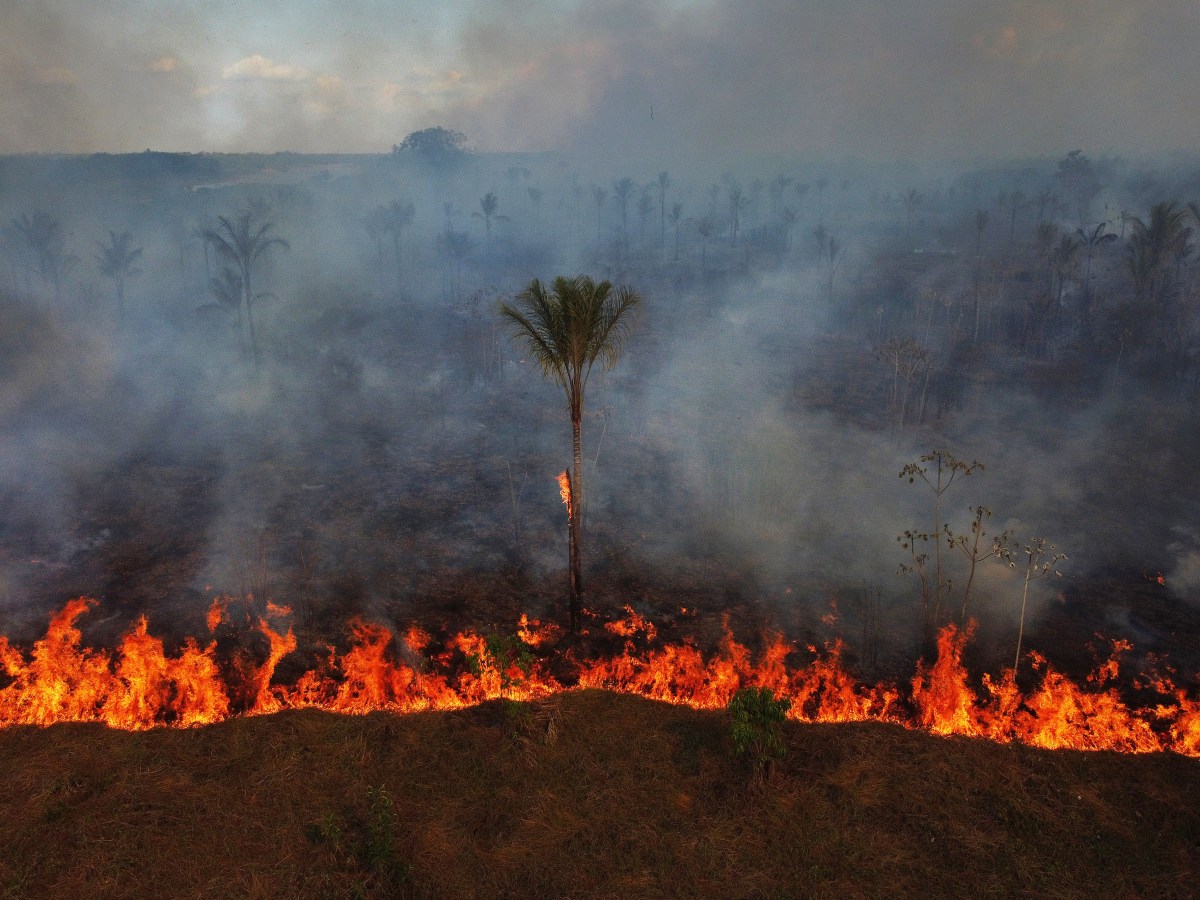 Indigenous, environmental groups warn far-right gains in Brazil’s Congress threaten protections