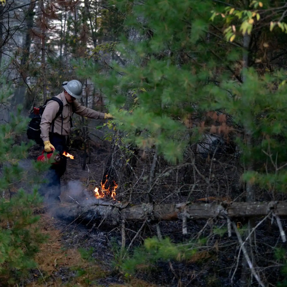 Indigenous fire practice returns to Minnesota Point after 180 years