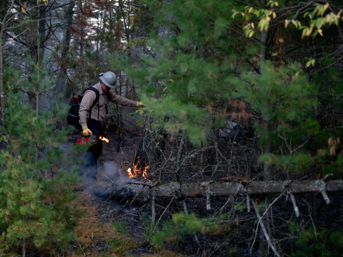 Indigenous fire practice returns to Minnesota Point after 180 years